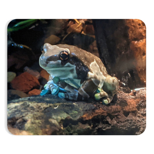 Toad Mouse Pad (EU) - Craze Trends