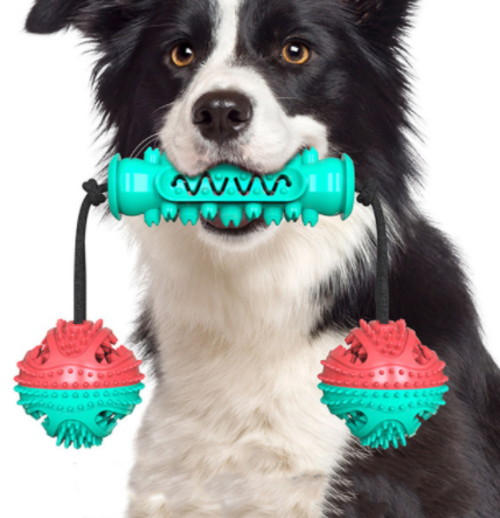 Dog Chew Toys Pet Toothbrush Rubber Bones Teeth Cleaning - Craze Trends