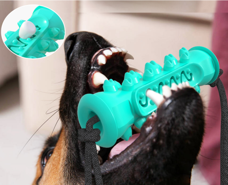 Dog Chew Toys Pet Toothbrush Rubber Bones Teeth Cleaning - Craze Trends