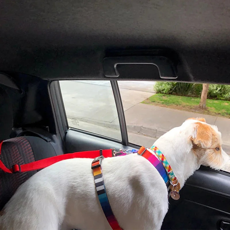 Adjustable Pet Car Seat Belt & Leash - Craze Trends