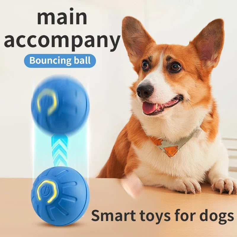 Smart Dog Toy Ball - Interactive & Fun - Craze Trends