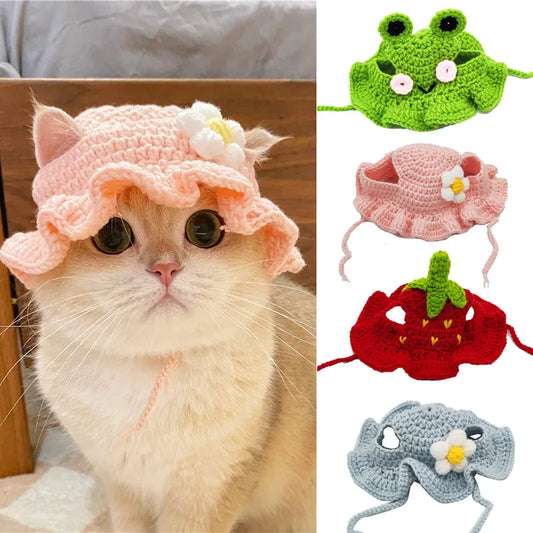 Cute Cat Hat for Pets - Autumn Winter - Craze Trends