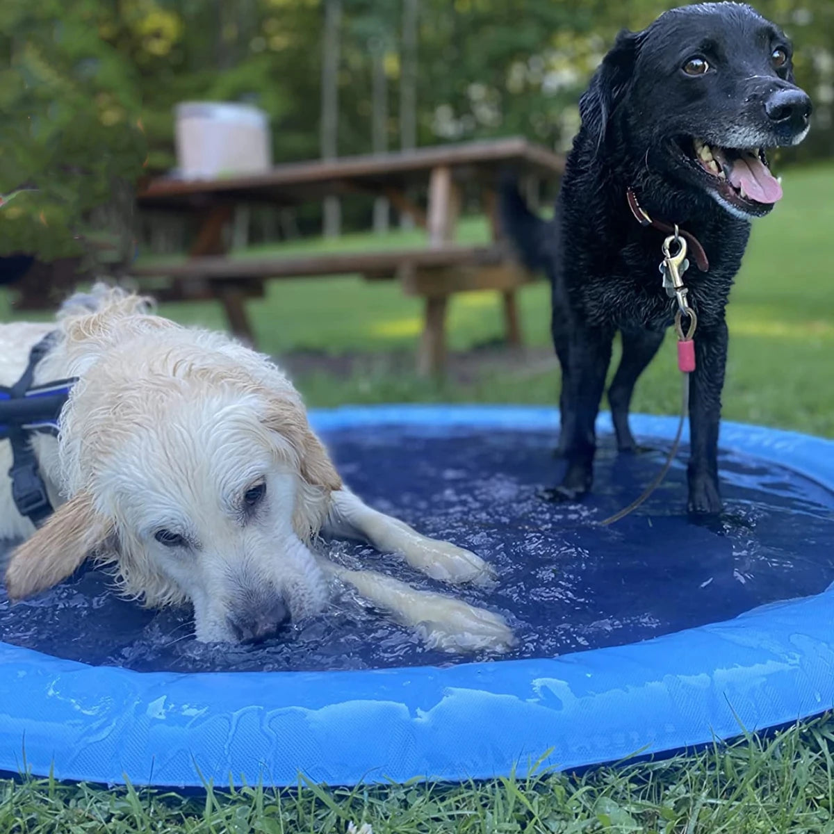 Summer Pet Sprinkler Pad Cooling Mat - Craze Trends