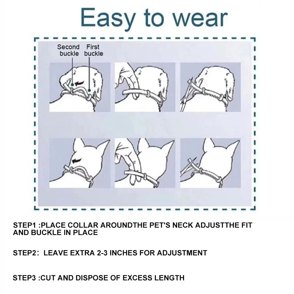 Veterinary Flea & Tick Collar for Cats Dogs - Craze Trends