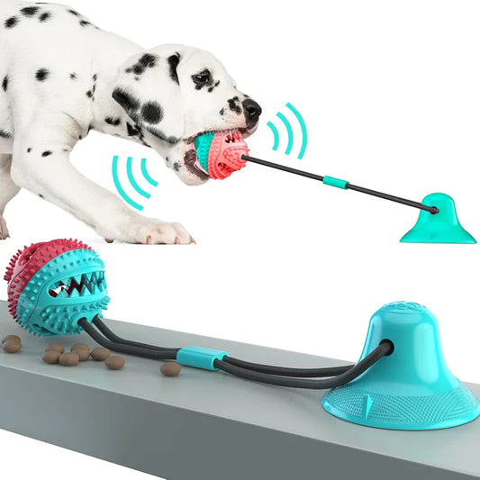 Interactive Suction Cup Dog Ball Toy - Craze Trends