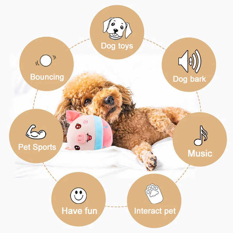 Interactive Pet Dog Toy Ball - Craze Trends