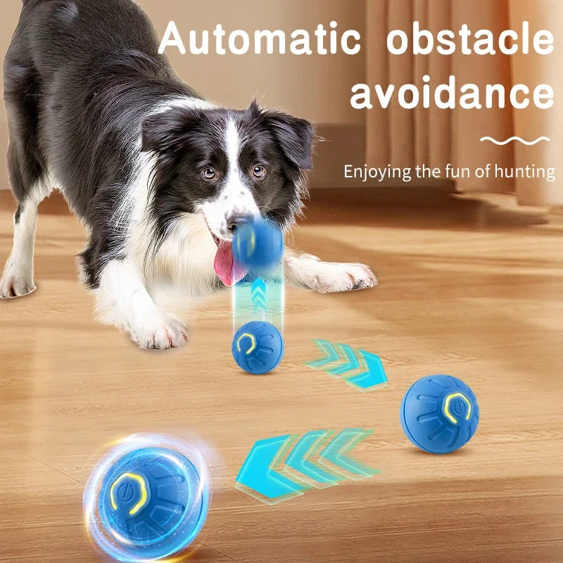 Smart Dog Toy Ball - Interactive & Fun - Craze Trends