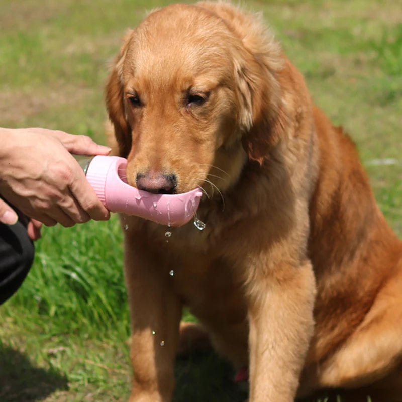 Portable 2-in-1 Dog Water Bottle - Craze Trends