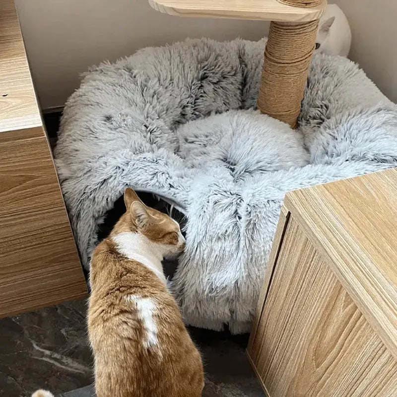 Plush Cat Tunnel Bed - Craze Trends