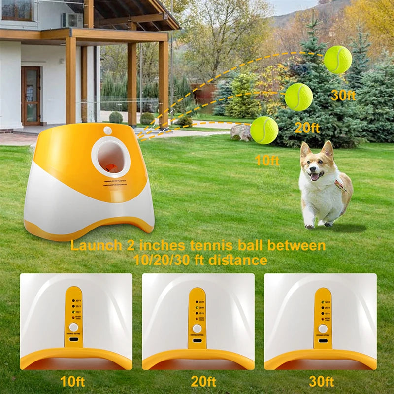 Automatic Dog Tennis Launcher - Craze Trends