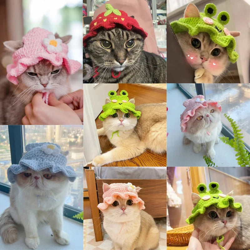 Cute Cat Hat for Pets - Autumn Winter - Craze Trends