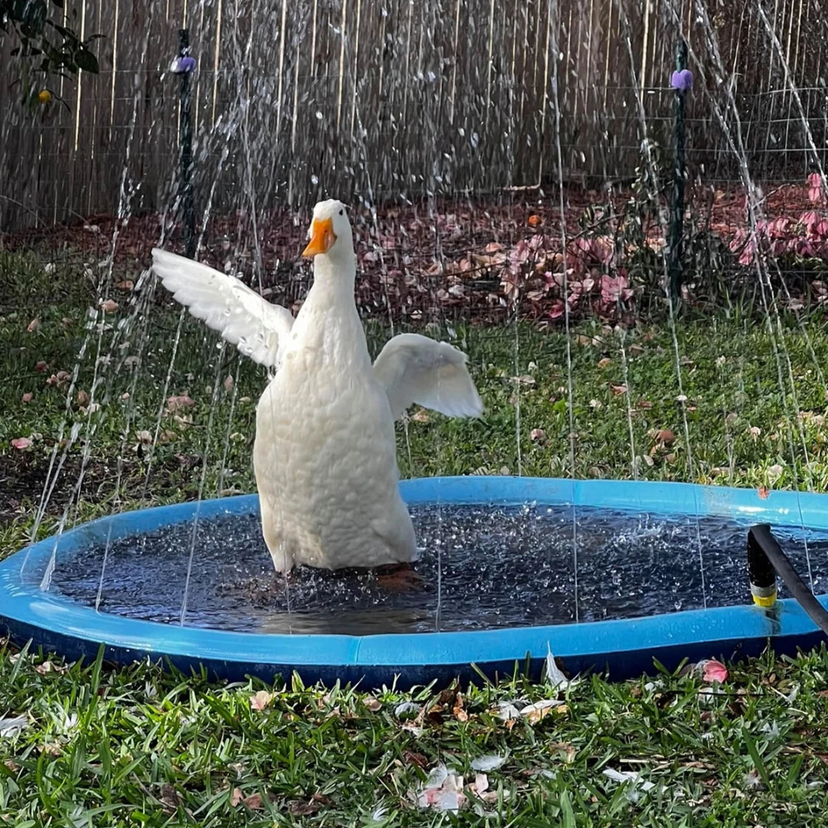 Summer Pet Sprinkler Pad Cooling Mat - Craze Trends