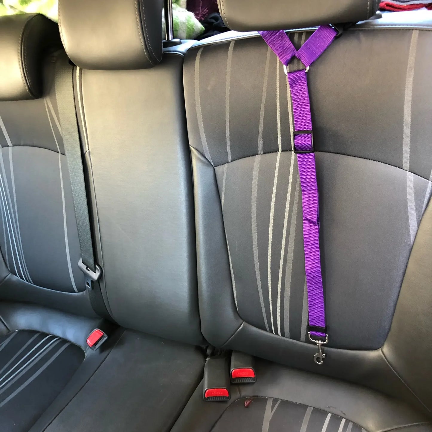 Adjustable Pet Car Seat Belt & Leash - Craze Trends