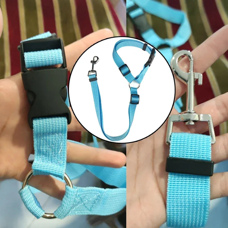 Adjustable Pet Car Seat Belt & Leash - Craze Trends