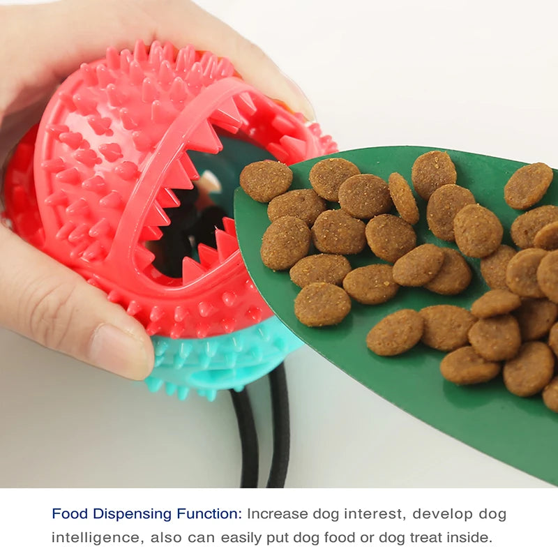 Interactive Suction Cup Dog Ball Toy - Craze Trends