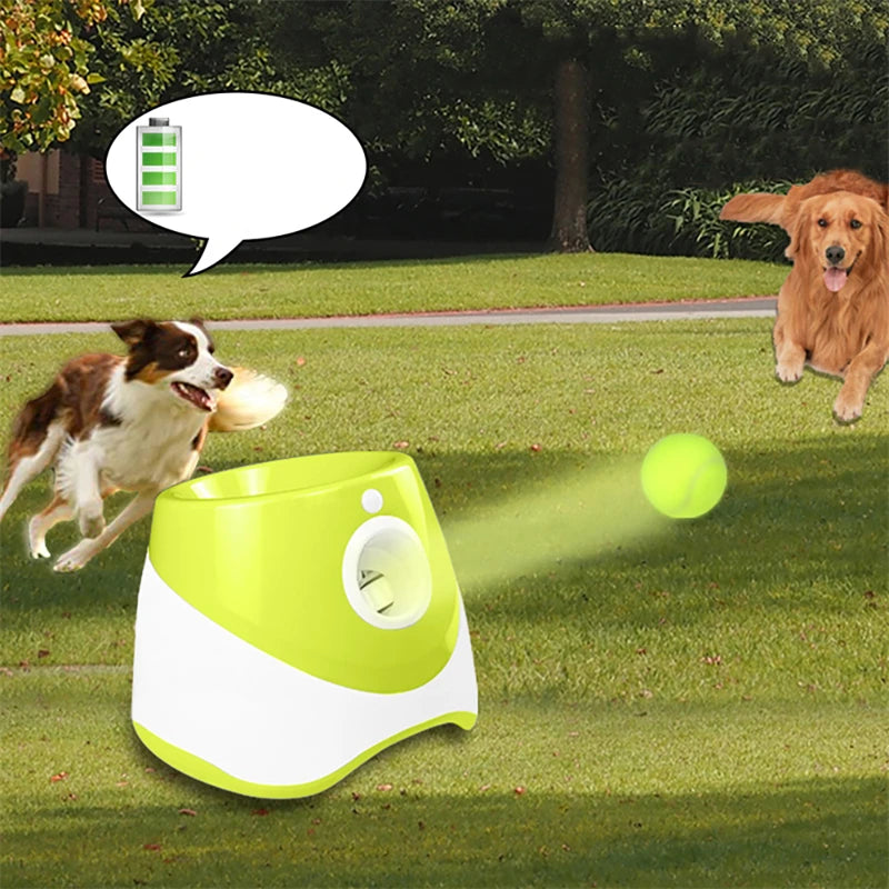 Automatic Dog Tennis Launcher - Craze Trends