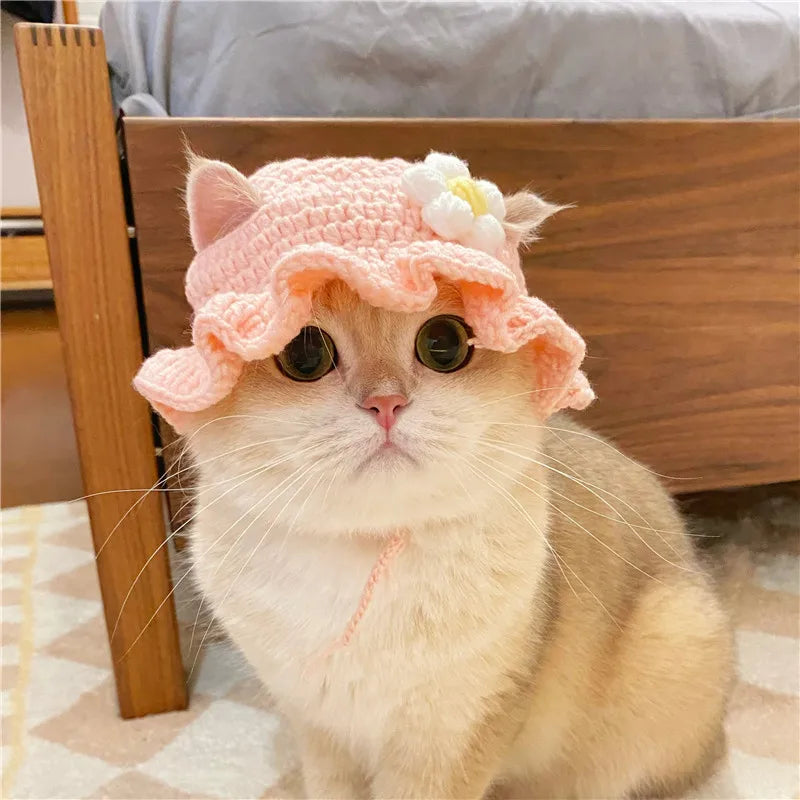 Cute Cat Hat for Pets - Autumn Winter - Craze Trends