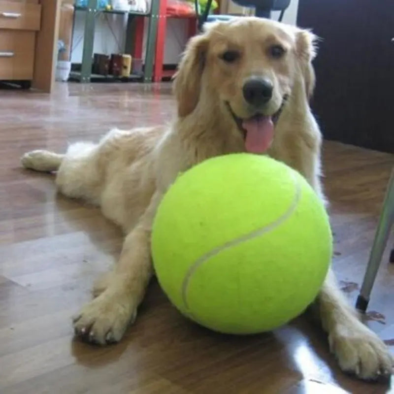 Giant Dog Tennis Ball Toy - Craze Trends